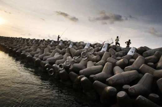 Тетрапод Т-25